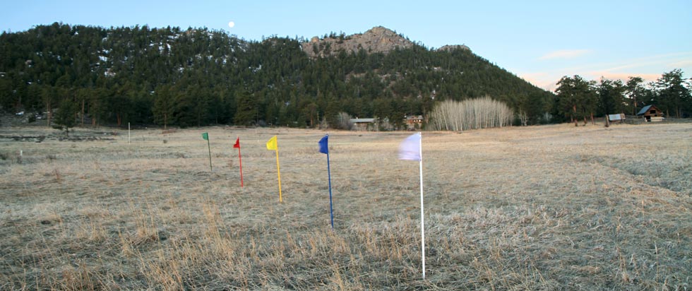 flags