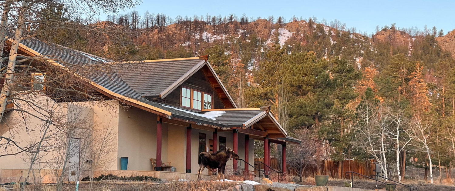 drala-mountain-sacred-moose
