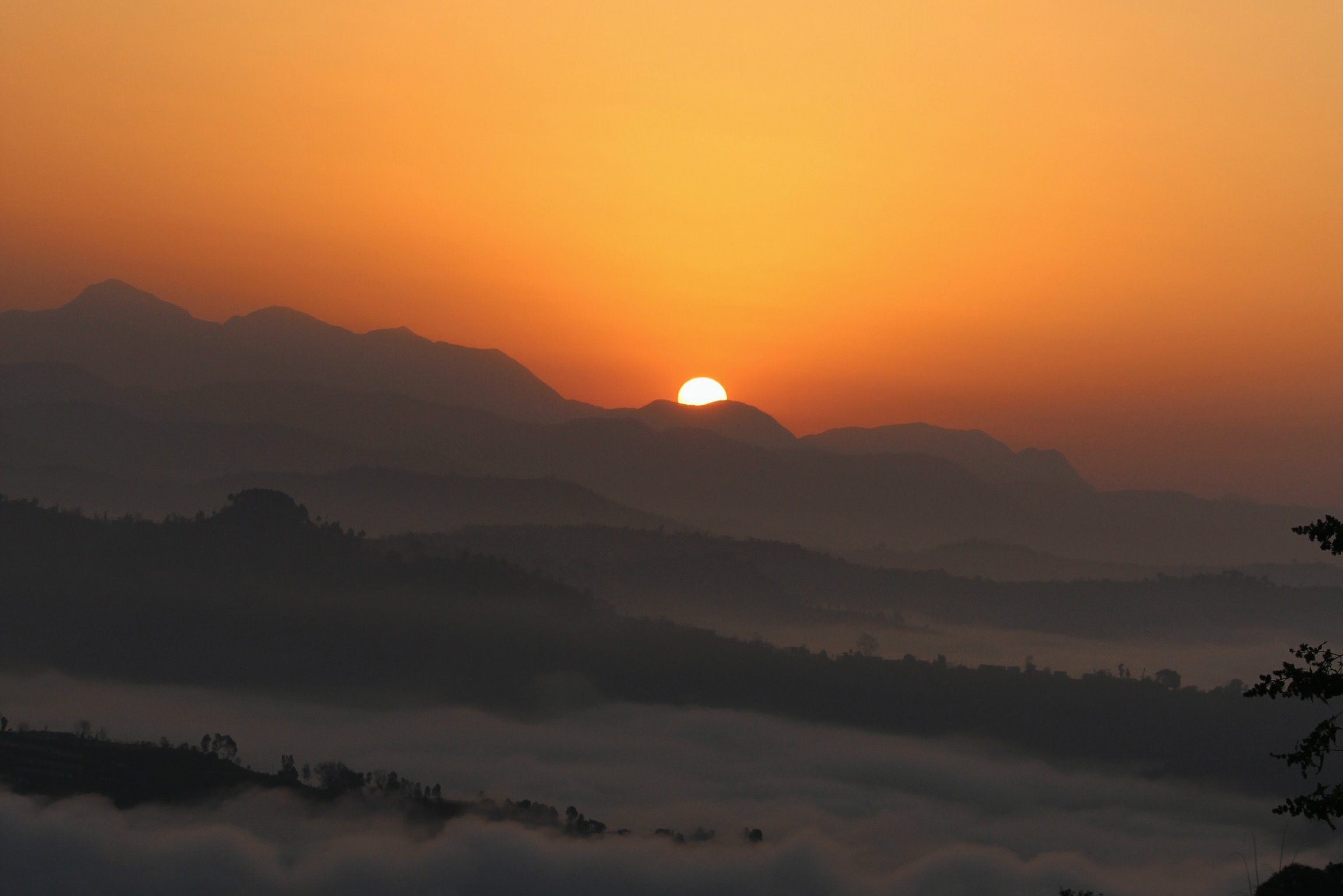 ravi-sharma-490720-unsplash