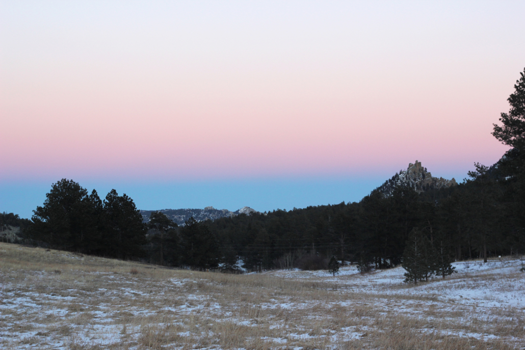 pink sunset trees sprinkle of snow