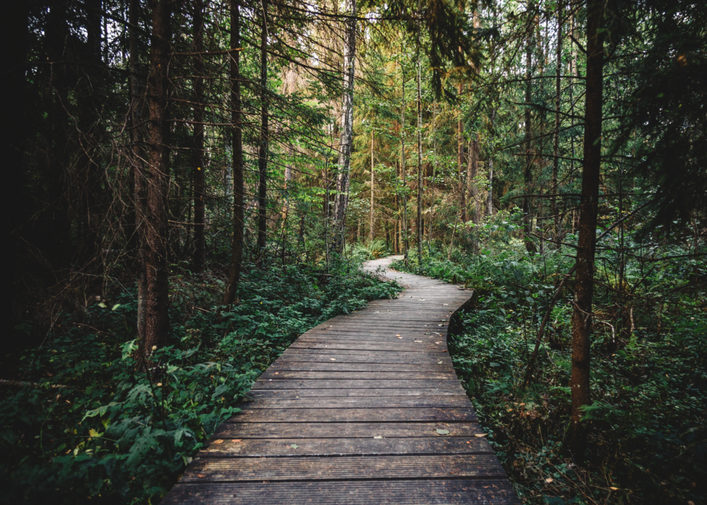path