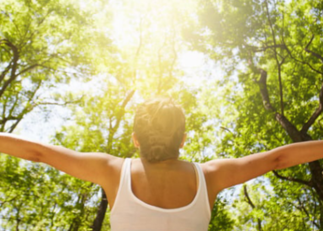 Yoga For Health & Wellness 2025