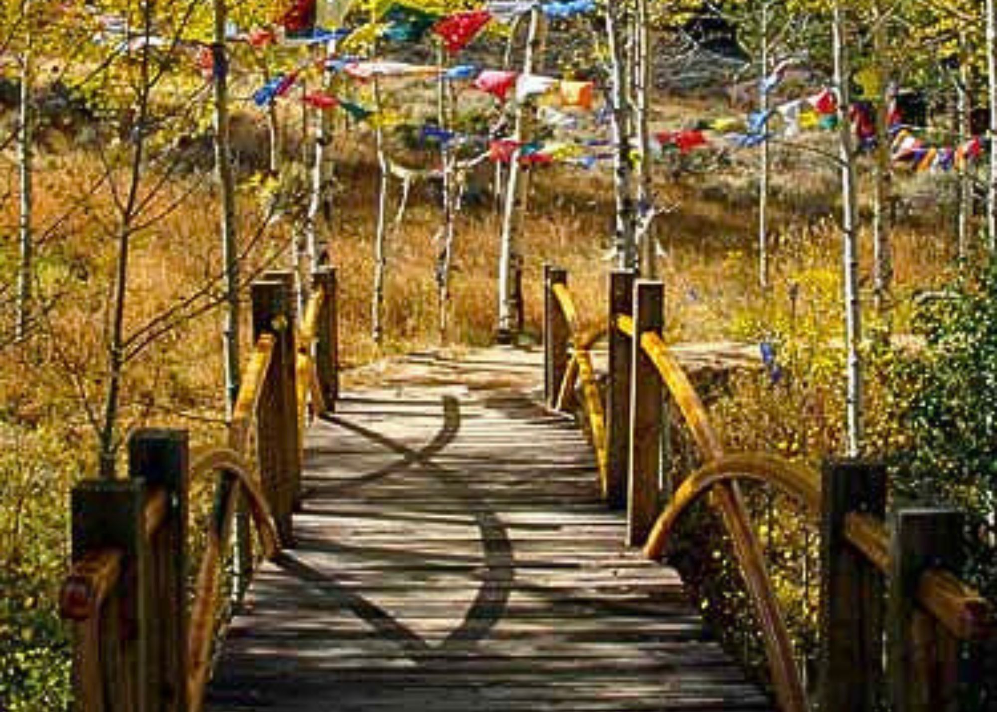 Buddhist Path V 2