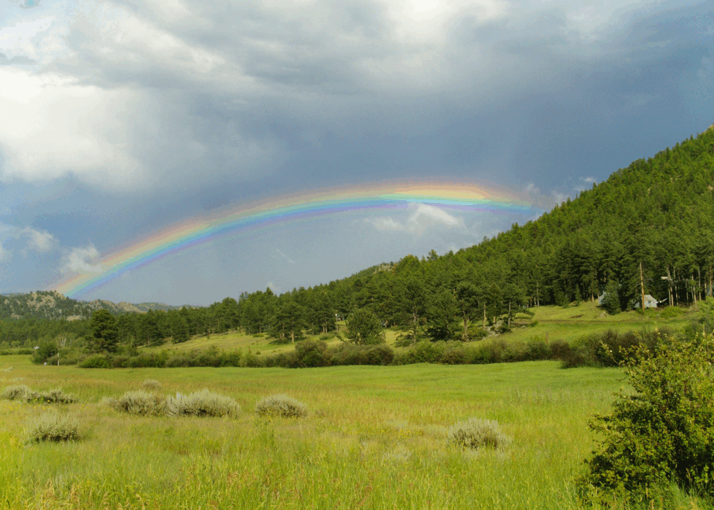 Healing with Nature