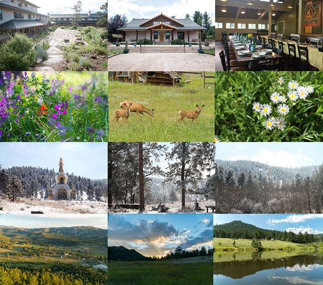 retreat-testimonials